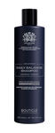 BL MEN DAILY BALANCING SHAMPOO ШАМПУНЬ-БАЛАНС ДЛЯ ЕЖЕДНЕВНОГО ПРИМЕНЕНИЯ, 300МЛ